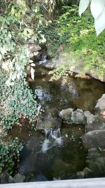 少儿足球嘉年华，冬季绽放在宝山