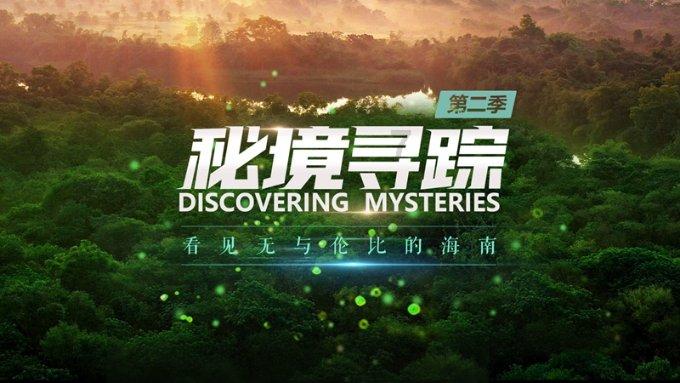 逃出昏暗的地下室