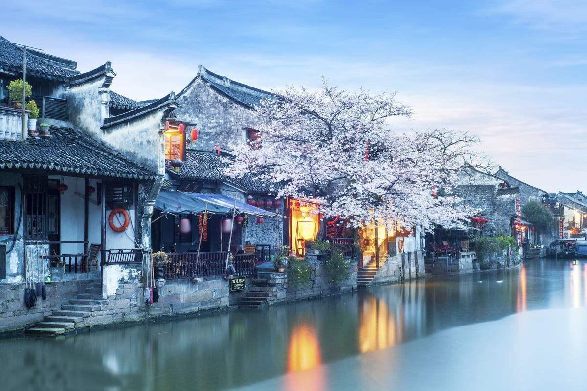 逗小猴开心系列197